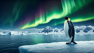 Beyond the Waddle: 6 Astonishing Penguin Facts That Redefine These Remarkable Birds