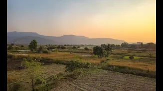 Drought Conditions Declared in Multiple Indian States Amid Rainfall Deficiency