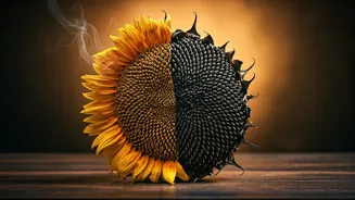 The Burned Haystack Method: Your Ultimate Guide to Modern Relationship Clarity
