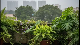 Monsoon Plants That Naturally Cool Your Terrace Space