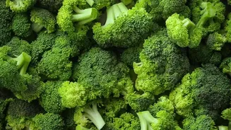 How Short Steam Exposure Preserves Delicate Plant Compounds In Cruciferous Vegetables
