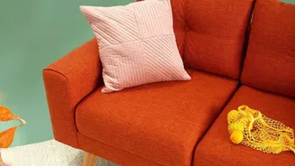 The 2026 Bold-Sofa Trend Gives Fabric Care More Weight in the Decision