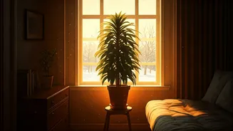 Boost Mood: Conquer Winter Blues!