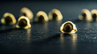 Unlock Crystal Clear Vision: The Surprising Eye Benefits of Moringa Seeds