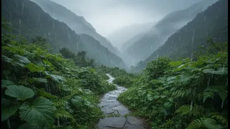 Rainy Retreats Are Becoming A Favourite Choice For Short Holiday Plans