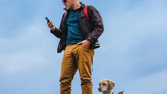 Check weather to keep pets safe