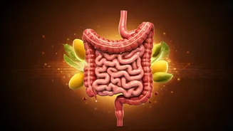 Keep Your Gut Safe: 5 Easy Monsoon Snacks