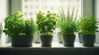 Horta em Casa Descomplicada: Guia Completo para Cultivar Temperos Frescos
