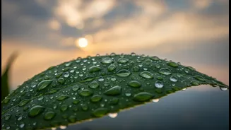 India: How Cloudy-Day Sunscreen During the Monsoon Changes Everyday Planning