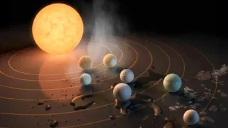 What Webb Telescope Spectrum Data Reveals About Water Vapour On Exoplanets
