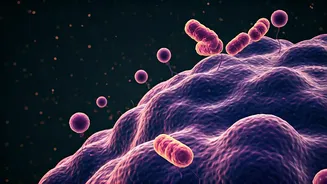Gut Health Is The New Protein Obsession