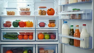 Sparkling Fridge & Freezer: Your 9-Step Spring Cleaning Survival Guide
