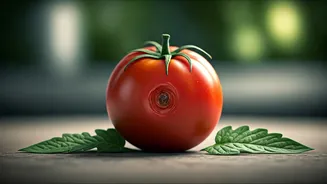 Why Vegetarian Meal Plans Often Fail On Vitamin B12 Intake
