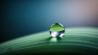 Awakening to Your True Self: Adyashanti's Wisdom on Inner Emptiness