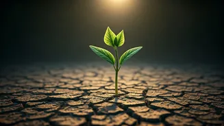 Beyond Spark: 7 Subtle Green Flags for a Promising First Date