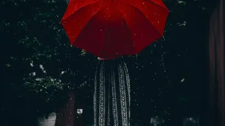 Monsoon Travel Decision Guide: How To Evaluate Rain Before Leaving