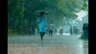 Northern plains turn wet: Punjab, Haryana, Delhi and UP face showers and thundersqualls