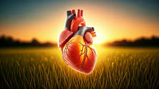 Related Stories banner