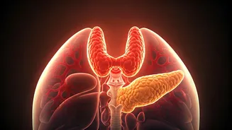 Related Stories banner