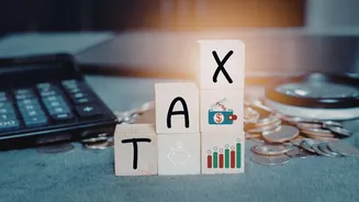 India's FY26 tax collections may miss target by ₹3 lakh crore; revenue may recover in FY27: CareEdge