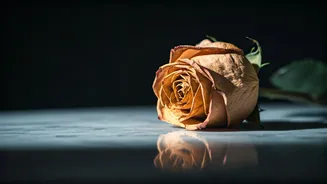 The Modern Dating ‘Ick’: Unpacking Those Micro-Turn-Offs Killing Romance