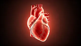 Heart Health: 5 Daily Habits to Boost Your Well-being