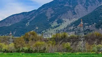 Ladakh's New Flower Fields Aim To Create More Farmer Livelihoods