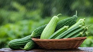 The Best Vegetables To Enjoy During Monsoon