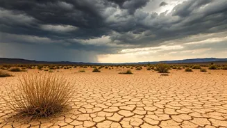 India's Weather: Rainfall Improved, But Still Lacking