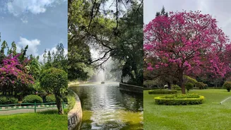 Related Stories banner