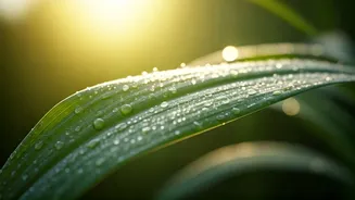 Skin Issues Could Spike As Monsoon Arrives