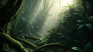 Earth's Driest Destinations: Unveiling the 5 Rainiest Spots on the Planet