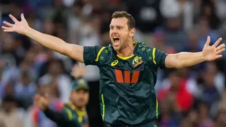 Josh Hazlewood to miss remainder of T20I series vs India; to shift focus on Ashes preparation