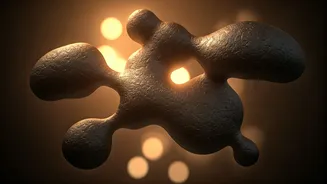 BB19 Stars' Relationship Dynamics & Beyond