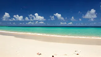 Anegada, BVI: Discover Untouched Caribbean Paradise with Empty Beaches & Unique Stays