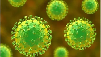 Nipah virus scare in Kerala: Kozhikode man critical, NIV test result awaited