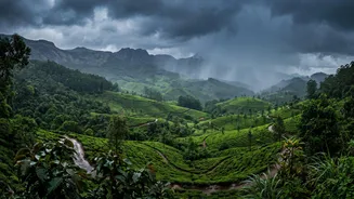 Travel Insurance And Heavy Rain: What Coverage Actually Matters