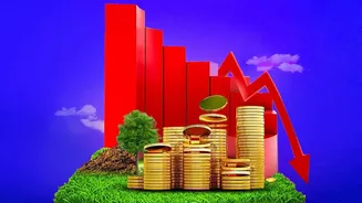 The Illustration Assumes The Current 7.1% PPF Interest Rate Stays Unchanged