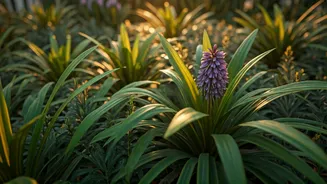 Local Plants, Bigger Garden Rewards