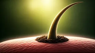 Unlock Longer, Stronger Hair: 5 Essential Daily Habits for Root Strength & Less Breakage