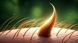 Unlock Fuller Hair: Top 6 Serums for Revitalized Growth and Scalp Health