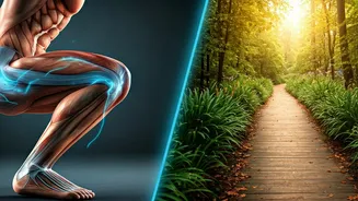 10 Squats Every 45 Mins vs. 30-Min Walk: Which Hack Boosts Blood Sugar Better?