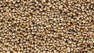 5 delicious ways to cook pearl millet