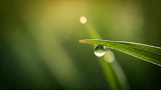 Breathwork Is Becoming The New Daily Pause