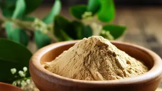 How Plant Based Protein Powders Deliver Amino Acids Required For Daily Workout Recovery Performance