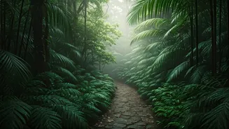Wayanad Is Perfect For Rain-Loving Couples