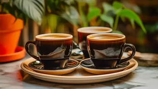 Historic Kolkata Cafés Attract Remote Workers Looking Beyond Home Offices