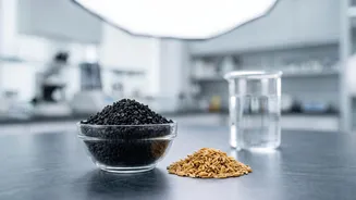 Microplastic Filtration Hacks: Rice Husk Bio-Char Delivers Cheap Safe Tap Water