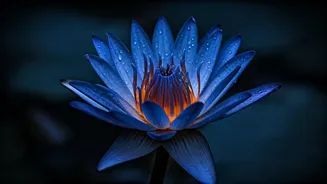 Embrace Inner Strength: Goddess Kaalratri's Mantras, Remedies, and Sacred Colors