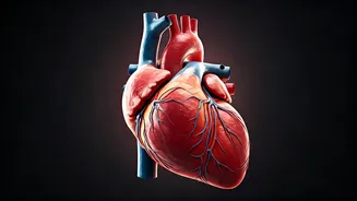 7 Health Perks of HIIT: Get Fit Fast!